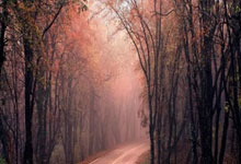 西班牙名宿退役，球坛传承珍重