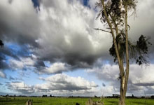 佛罗伦萨主教练赛后谈未来发展方向