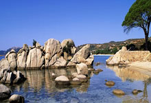 埃瓦尔战平对手，保持稳定表现